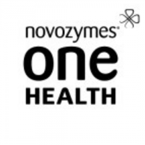 Recruitment of Organizational Developer for Novozymes